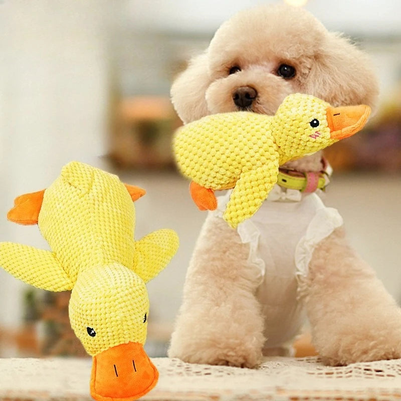 Apex Paws™ | Durable Duckie Dog-Toy for Anxiety Relief