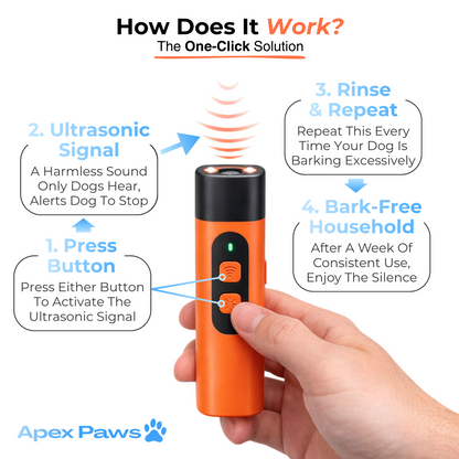 HushPuppy™ – Anti Barking Device